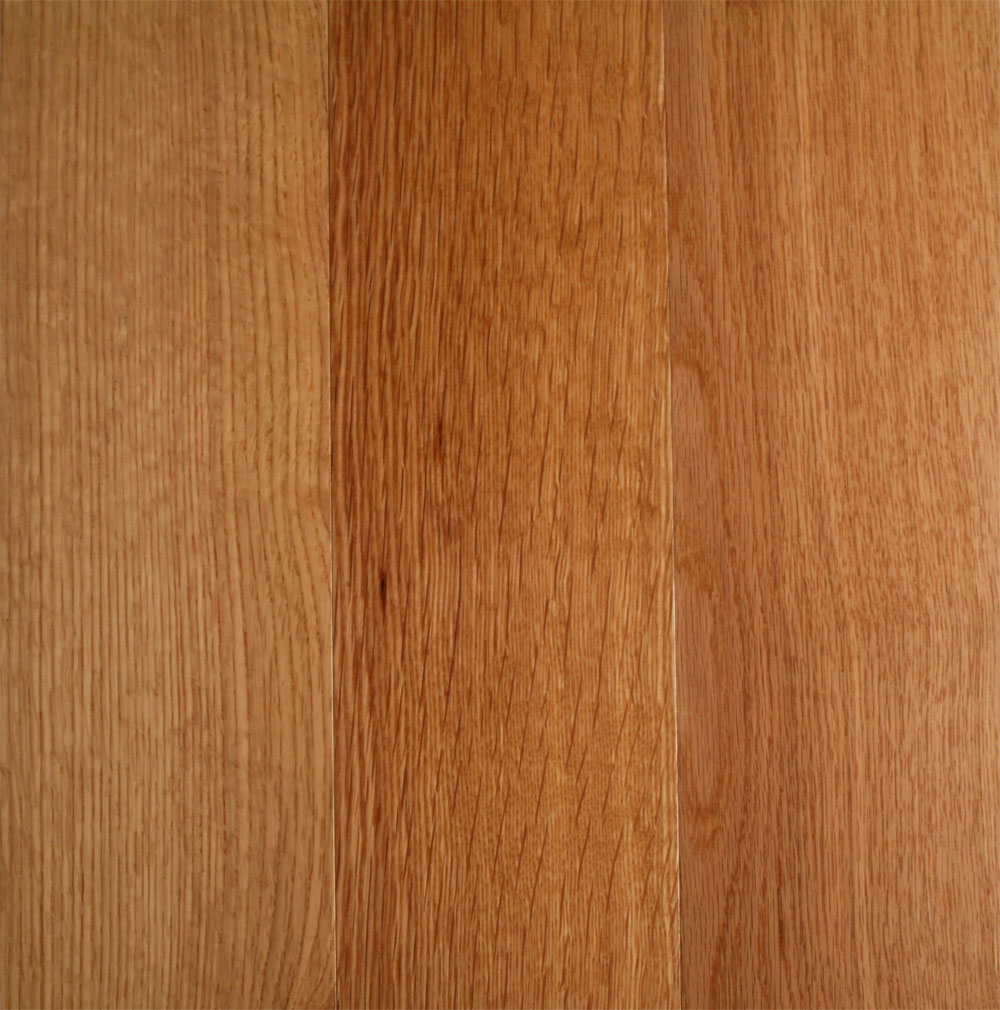 Photo of White Oak